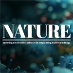 Nature | 百邁客生物助力蘇黎世聯(lián)邦理工學(xué)院在內(nèi)共生研究中取得重大突破！